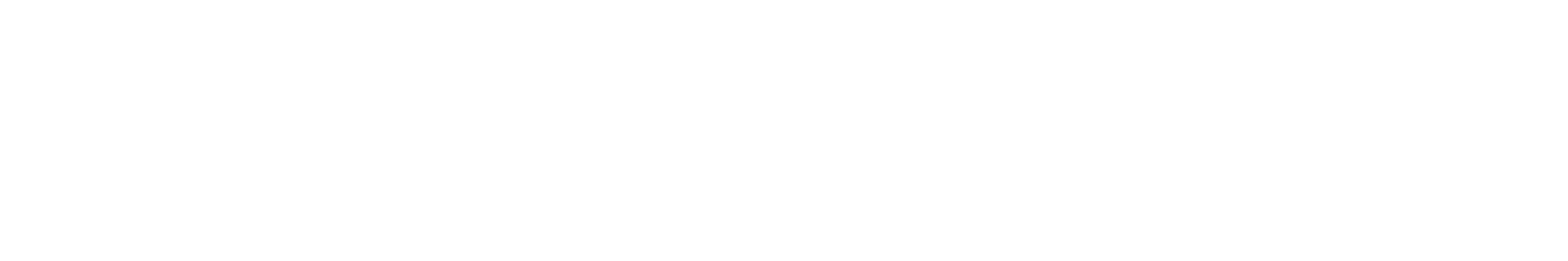Maxel Ju